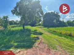 ขายที่ดิน เนื้อที่ 5 ไร่ 75 ตารางวา ต.เขาท่าพระ จ.ชัยนาท ราคาถูก ทำเลดี-202510211251421761025902146.jpg