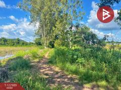 ขายที่ดิน เนื้อที่ 5 ไร่ 75 ตารางวา ต.เขาท่าพระ จ.ชัยนาท ราคาถูก ทำเลดี-202510211251421761025902697.jpg