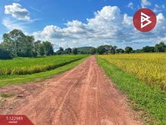 ขายที่ดิน เนื้อที่ 5 ไร่ 75 ตารางวา ต.เขาท่าพระ จ.ชัยนาท ราคาถูก ทำเลดี-202510211251431761025903240.jpg