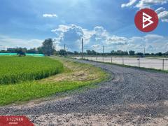 ขายที่ดิน เนื้อที่ 5 ไร่ 75 ตารางวา ต.เขาท่าพระ จ.ชัยนาท ราคาถูก ทำเลดี-202510211251431761025903835.jpg