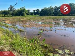 ขายที่ดิน เนื้อที่ 5 ไร่ 75 ตารางวา ต.เขาท่าพระ จ.ชัยนาท ราคาถูก ทำเลดี-202510211251441761025904371.jpg