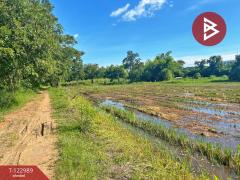 ขายที่ดิน เนื้อที่ 5 ไร่ 75 ตารางวา ต.เขาท่าพระ จ.ชัยนาท ราคาถูก ทำเลดี-202510211251441761025904906.jpg