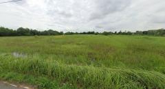 ขายที่ดินเปล่า 18-3-75 ไร่ ใกล้แม่น้ำบางปะกง อ.บางคล้า จ.ฉะเชิงเทรา