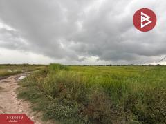 ขายที่ดิน เนื้อที่ 6 ไร่ 1 งาน 73 ตร.วา พานทอง ชลบุรี-202510211356481761029808588.jpg