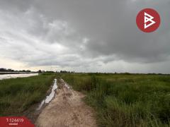 ขายที่ดิน เนื้อที่ 6 ไร่ 1 งาน 73 ตร.วา พานทอง ชลบุรี-202510211356491761029809276.jpg