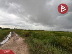 ขายที่ดิน เนื้อที่ 6 ไร่ 1 งาน 73 ตร.วา พานทอง ชลบุรี-202510211356491761029809925.jpg