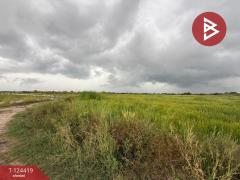 ขายที่ดิน เนื้อที่ 6 ไร่ 1 งาน 73 ตร.วา พานทอง ชลบุรี-202510211356501761029810513.jpg