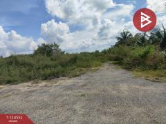 ขายที่ดิน-เนื้อที่-67.4-ตร.วา-หนองจอก-กร