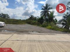 ขายที่ดิน เนื้อที่ 67.4 ตร.วา หนองจอก กรุงเทพมหานคร-202510211446151761032775192.jpg