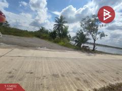 ขายที่ดิน เนื้อที่ 67.4 ตร.วา หนองจอก กรุงเทพมหานคร-202510211446151761032775731.jpg