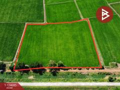 ขายที่ดิน เนื้อที่ 6 ไร่ 2 งาน 41 ตารางวา ทำเลดีติดคลอง วัดสิงห์ ชัยนาท-202510211505571761033957627.jpg