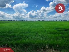 ขายที่ดิน เนื้อที่ 6 ไร่ 2 งาน 41 ตารางวา ทำเลดีติดคลอง วัดสิงห์ ชัยนาท-202510211505581761033958698.jpg