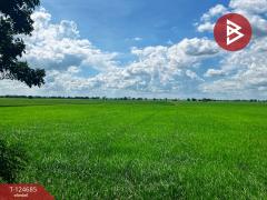 ขายที่ดิน เนื้อที่ 6 ไร่ 2 งาน 41 ตารางวา ทำเลดีติดคลอง วัดสิงห์ ชัยนาท-202510211505591761033959233.jpg