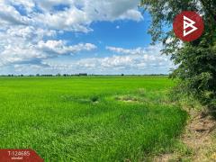 ขายที่ดิน เนื้อที่ 6 ไร่ 2 งาน 41 ตารางวา ทำเลดีติดคลอง วัดสิงห์ ชัยนาท-202510211506001761033960342.jpg