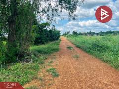 ขายที่ดิน เนื้อที่ 6 ไร่ 2 งาน 41 ตารางวา ทำเลดีติดคลอง วัดสิงห์ ชัยนาท-202510211506001761033960872.jpg