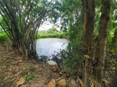 ขายที่ดินเปล่า 1 ไร่ 61 ตร.วา ติดคลองชลประทาน ทำเลดี ใกล้ถนนแสงชูโต อ.ท่ามะกา จ.กาญจนบุรี เพียง 950,000 บาท-202510211543121761036192083.jpg