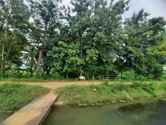 ขายที่ดินเปล่า 1 ไร่ 61 ตร.วา ติดคลองชลประทาน ทำเลดี ใกล้ถนนแสงชูโต อ.ท่ามะกา จ.กาญจนบุรี เพียง 950,000 บาท-202510211543151761036195484.jpg