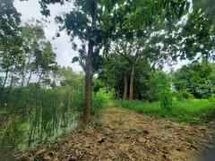 ขายที่ดินเปล่า 1 ไร่ 61 ตร.วา ติดคลองชลประทาน ทำเลดี ใกล้ถนนแสงชูโต อ.ท่ามะกา จ.กาญจนบุรี เพียง 950,000 บาท-202510211543161761036196636.jpg