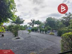 ขายที่ดินพร้อมสิ่งปลูกสร้าง เนื้อที่ 1 ไร่ 3 งาน 23 ตร.วา นครชัยศรี นครปฐม-202510211543461761036226342.jpg