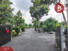 ขายที่ดินพร้อมสิ่งปลูกสร้าง เนื้อที่ 1 ไร่ 3 งาน 23 ตร.วา นครชัยศรี นครปฐม-202510211543471761036227432.jpg