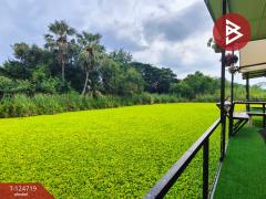 ขายที่ดินพร้อมสิ่งปลูกสร้าง เนื้อที่ 1 ไร่ 3 งาน 23 ตร.วา นครชัยศรี นครปฐม-202510211543511761036231884.jpg