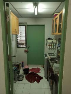 ขายที่ดิน เนื้อที่ 185 ตารางวา ซอยเทพรักษ์ 49 ติดถนนเทพรักษ์ และปั๊มเชลล์-202510211623011761038581236.jpg