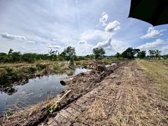 ขายที่ดินสวย หนองจอก ซอยคลองสิบ-คลองสิบสี่ 9 ใกล้ตลาดหนองจอก (N.1902)-202510211629561761038996842.jpg