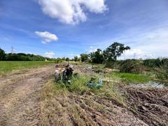 ขายที่ดินสวย หนองจอก ซอยคลองสิบ-คลองสิบสี่ 9 ใกล้ตลาดหนองจอก (N.1902)-202510211629571761038997330.jpg