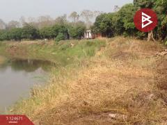 ขายที่ดิน เนื้อที่ 1 ไร่ 1 งาน 4 ตร.วา แม่แตง เชียงใหม่