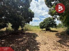 ขายที่ดิน เนื้อที่ 1 ไร่ 1 งาน 4 ตร.วา แม่แตง เชียงใหม่-202510211630051761039005878.jpg