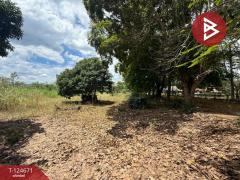 ขายที่ดิน เนื้อที่ 1 ไร่ 1 งาน 4 ตร.วา แม่แตง เชียงใหม่-202510211630071761039007216.jpg