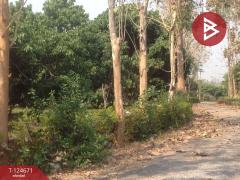 ขายที่ดิน เนื้อที่ 1 ไร่ 1 งาน 4 ตร.วา แม่แตง เชียงใหม่-202510211630071761039007761.jpg