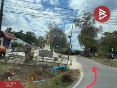 ขายที่ดิน เนื้อที่ 1 ไร่ 1 งาน 4 ตร.วา แม่แตง เชียงใหม่-202510211630091761039009427.jpg