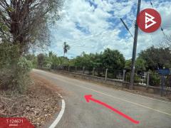 ขายที่ดิน เนื้อที่ 1 ไร่ 1 งาน 4 ตร.วา แม่แตง เชียงใหม่-202510211630091761039009971.jpg