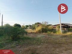 ขายด่วนที่ดิน เนื้อที่ 396 ตารางวา ห้วยยาง ขอนแก่น