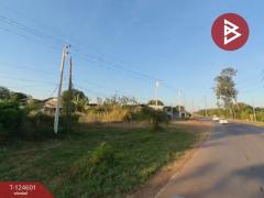 ขายด่วนที่ดิน เนื้อที่ 396 ตารางวา ห้วยยาง ขอนแก่น-202510211630461761039046452.jpg