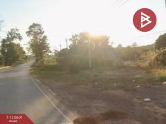 ขายด่วนที่ดิน เนื้อที่ 396 ตารางวา ห้วยยาง ขอนแก่น-202510211630471761039047484.jpg