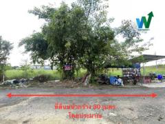 ขายที่ดิน รังสิต คลองสอง อัปเดตล่าสุด 2025