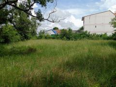 ขายที่ดินในเขตอำเภอเมืองชัยภูมิ ขนาด 1 ไร่ 1 งาน