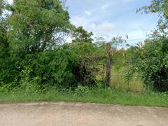 ขายที่ดินในเขตอำเภอเมืองชัยภูมิ ขนาด 1 ไร่ 1 งาน-202510211820531761045653687.jpg