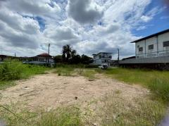 ขายที่ดินซอยคลองหนองใหญ่ 294 ตารางวา ติดถนนคอนกรีตสาธารณะ ถมแล้ว ซอย บางแค 14 เขตภาษีเจริญ กทม.095-879-4465-202510211834161761046456105.jpeg