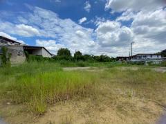 ขายที่ดินซอยคลองหนองใหญ่ 294 ตารางวา ติดถนนคอนกรีตสาธารณะ ถมแล้ว ซอย บางแค 14 เขตภาษีเจริญ กทม.095-879-4465-202510211834161761046456656.jpeg