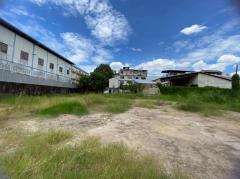 ขายที่ดินซอยคลองหนองใหญ่ 294 ตารางวา ติดถนนคอนกรีตสาธารณะ ถมแล้ว ซอย บางแค 14 เขตภาษีเจริญ กทม.095-879-4465-202510211834181761046458140.jpeg