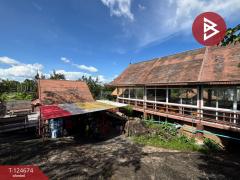 ขายที่ดินพร้อมสิ่งปลูกสร้าง เนื้อที่ 3 ไร่ 77.1 ตร.วา หนองรี ชลบุรี-202510220934551761100495198.jpg