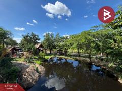 ขายที่ดินพร้อมสิ่งปลูกสร้าง เนื้อที่ 3 ไร่ 77.1 ตร.วา หนองรี ชลบุรี-202510220934561761100496287.jpg