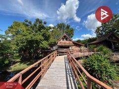 ขายที่ดินพร้อมสิ่งปลูกสร้าง เนื้อที่ 3 ไร่ 77.1 ตร.วา หนองรี ชลบุรี-202510220934581761100498998.jpg