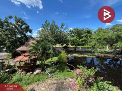 ขายที่ดินพร้อมสิ่งปลูกสร้าง เนื้อที่ 3 ไร่ 77.1 ตร.วา หนองรี ชลบุรี-202510220935001761100500655.jpg