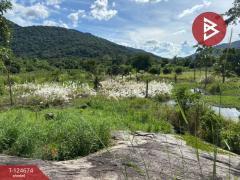 ขายที่ดินพร้อมสิ่งปลูกสร้าง เนื้อที่ 3 ไร่ 77.1 ตร.วา หนองรี ชลบุรี-202510220935011761100501221.jpg