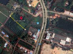 ขายที่ดิน 7 ไร่ เมืองชุมพร ทำเลดี ใกล้ถนนเพชรเกษม ผังเมืองสีชมพู-202510221046591761104819245.jpg