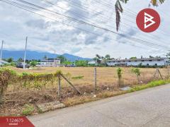 ขายที่ดิน เนื้อที่ 2 งาน 98.9 ตร.วา คลองนารายณ์ จันทบุรี แบ่งขายได้-202510221055281761105328554.jpg